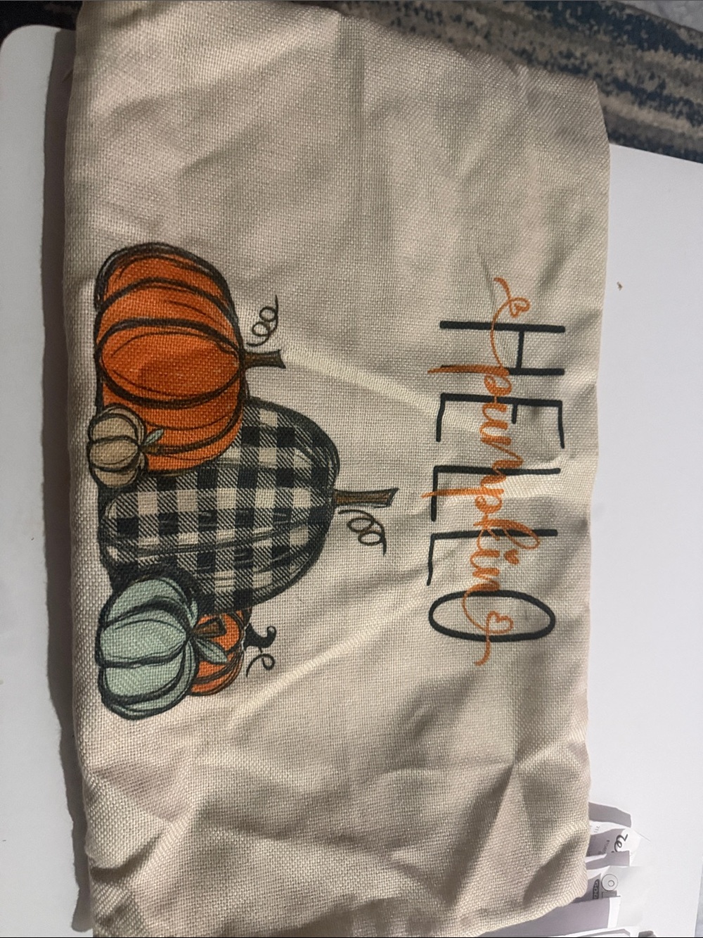 Autumn Pumpkin Decorative Pillow Covers Cream and Orange